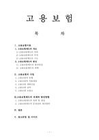 고용보험의 사업과 고용보험제도의 성과 및 쟁점, 과제와 발전방향 보고서-1