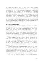 영화평(아이리스)-2