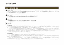 가족치료-버지니아 사티어-6