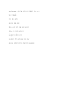 [기업분석] SK에너지 기업분석-15