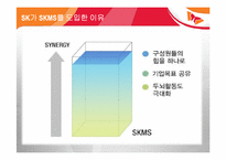 [경영학원론] sk의 skms도입사례를 통해 바라본 경영학원론-10