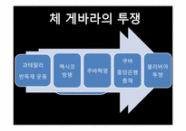 [리더십] 마하트마 간디와 체 게바라의 비교를 통한 리더십-12