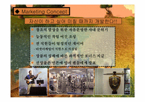 [전자상거래] Blizzard(블리자드)사의 마케팅 전략-11