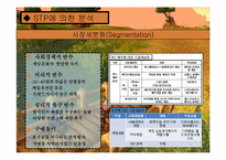[전자상거래] Blizzard(블리자드)사의 마케팅 전략-12