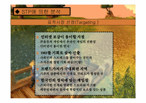 [전자상거래] Blizzard(블리자드)사의 마케팅 전략-13