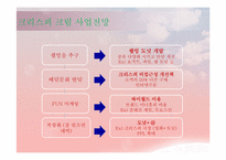 [국제경영] 롯데의 기업분석 사례-11