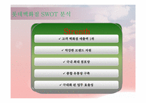 [국제경영] 롯데의 기업분석 사례-18
