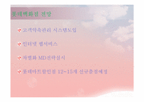 [국제경영] 롯데의 기업분석 사례-19