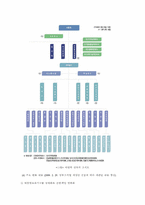 [한국행정사] 정부조직과 관리-16