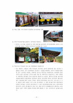 [관광개발] 성공과 실패사례를 통해 바라본 음식관광과 개선방향의 고찰-8