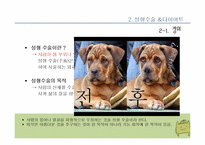 [여성학] 성형수술 & 다이어트를 통해 알아본 우리 시대의 외모지상주의-11