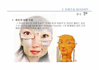 [여성학] 성형수술 & 다이어트를 통해 알아본 우리 시대의 외모지상주의-12