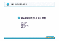 [이슬람문화이해] 이슬람의 사회운동에 관한 분석-11