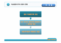 [이슬람문화이해] 이슬람의 사회운동에 관한 분석-16