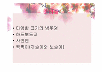[유아사회교육][활동계획안] 수학 교육 활동(수개념 알기)-8