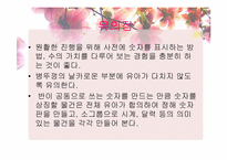 [유아사회교육][활동계획안] 수학 교육 활동(수개념 알기)-17