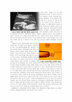 [과학작문과글쓰기] 생명과 생명과학에 관한 고찰-3