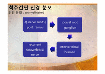 [물리치료학] 경추HNP(Herniated Nucleus Pulposus) 분석-5