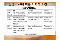 [물리치료학] 경추HNP(Herniated Nucleus Pulposus) 분석-13