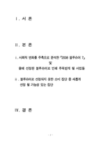 2008 블루슈머 7 레포트-2