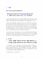 2008 블루슈머 7 레포트-3