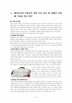2008 블루슈머 7 레포트-13
