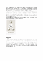 [국제경영] 렉서스(Lexus) 국내시장 진출 성공 사례 및 위기 극복 방안-19