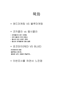 컬러마케팅 -레드마케팅 VS 블루마케팅-2