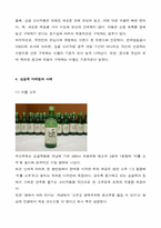 [마케팅사례] 싱글족, 웰빙족, 그루밍족 마케팅-6