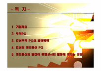 효성의 정보통신 PG-2