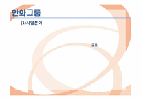 정보산업의 발전과 종합상사 기능의 변화 -한화무역-4
