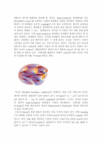 [양자역학과 일반상대론] 블랙홀 엔트로피의 끈이론적 해석-4