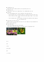 그린시티 기획 레포트-11