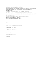 영화분석 `브라질Brazil` 미장센을 중심으로-8