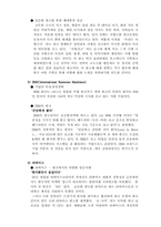 [광고와 사회] 국제광고-4