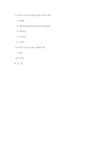 [광고와 사회] 국제광고-13