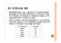 중국 전자정보산업-5