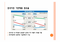 중국 전자정보산업-15