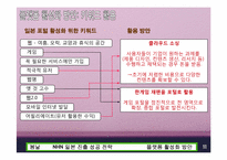 NHN 일본 진출성공전략-11
