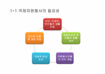 [자원봉사론] 국제자원봉사의 문제점과 개선방안-4