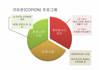 [자원봉사론] 국제자원봉사의 문제점과 개선방안-17