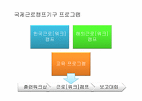 [자원봉사론] 국제자원봉사의 문제점과 개선방안-19