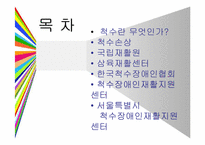 척수손상 PPT 레포트-2