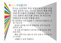 척수손상 PPT 레포트-3