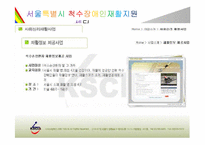척수손상 PPT 레포트-16
