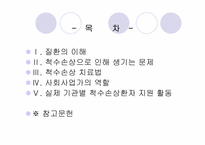 (의료사회복지)척수손상 환자와 가족의 심리사회적 문제와 치료법, 지원활동과 사회복지사의 역할 파워포인트 PPT-2