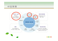 [현대사회와기업경영] 컨텐츠 유료화 관점에서 바라 본 다음, 네이버, 싸이월드의 재무관리-5