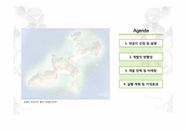 [디자인과경영전략] 생태 관광지 조성 사업 계획서(굴업도)-2