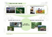 [디자인과경영전략] 생태 관광지 조성 사업 계획서(굴업도)-4
