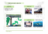 [디자인과경영전략] 생태 관광지 조성 사업 계획서(굴업도)-6